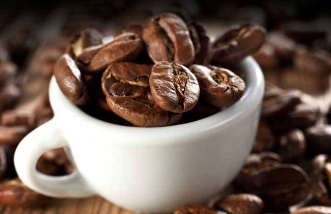 牙买加蓝山咖啡豆，牙买加蓝山咖啡如何辨真假