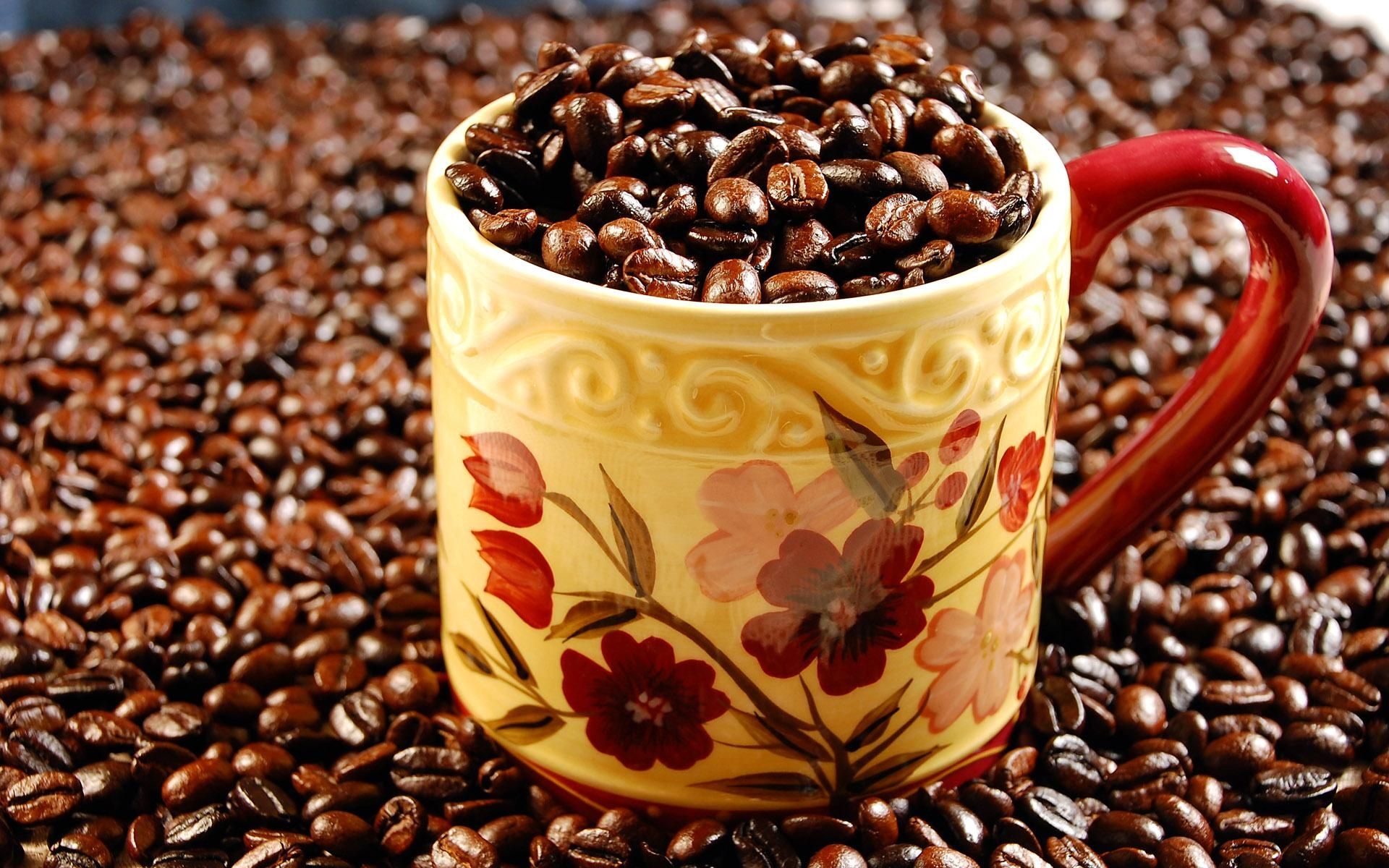 拉丁美洲咖啡种植区，拉丁美洲咖啡产区	