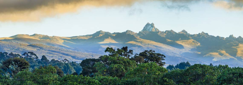 Compare Mount Kenya Trekking & Hiking Offers • Bookatrekking.com