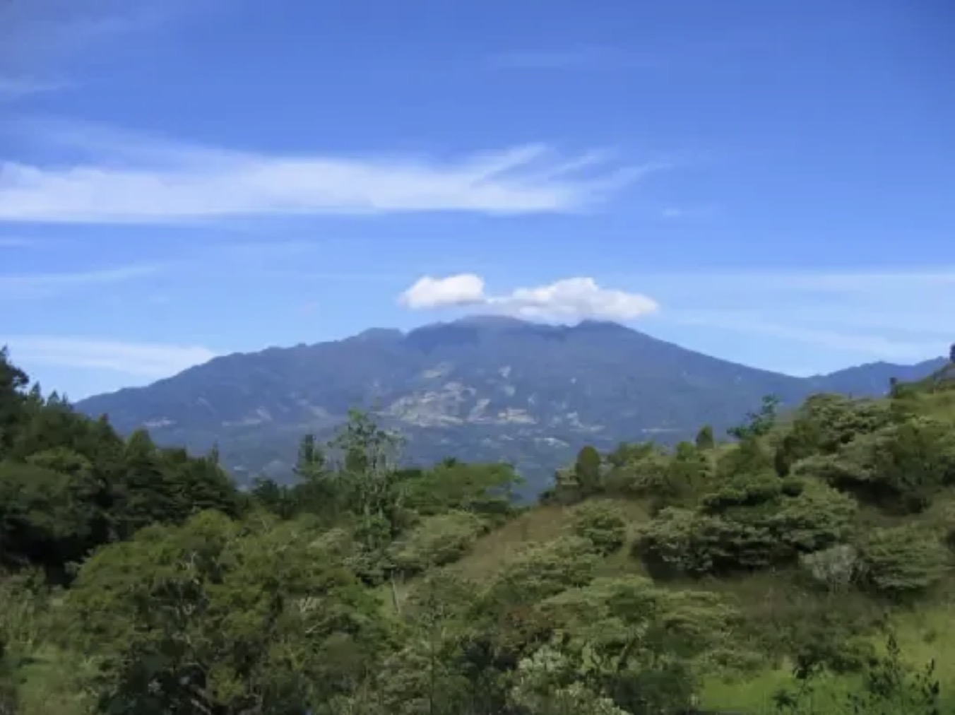 巴拿马Panama｜咖啡产区波奎特瑰夏咖啡豆介绍 
