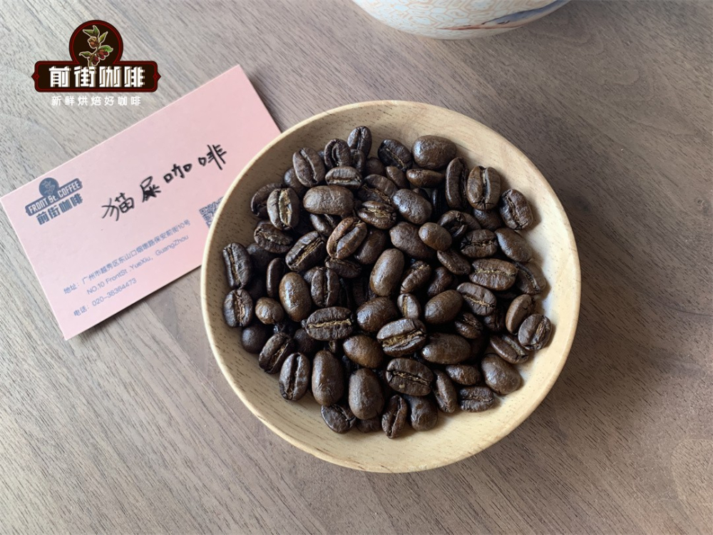 麝香猫咖啡风味口感品种产区特点精品咖啡豆介绍