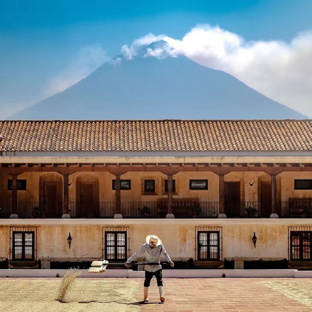 危地马拉咖啡(Guatemala Coffee)，瓜地马拉咖啡豆知识介绍