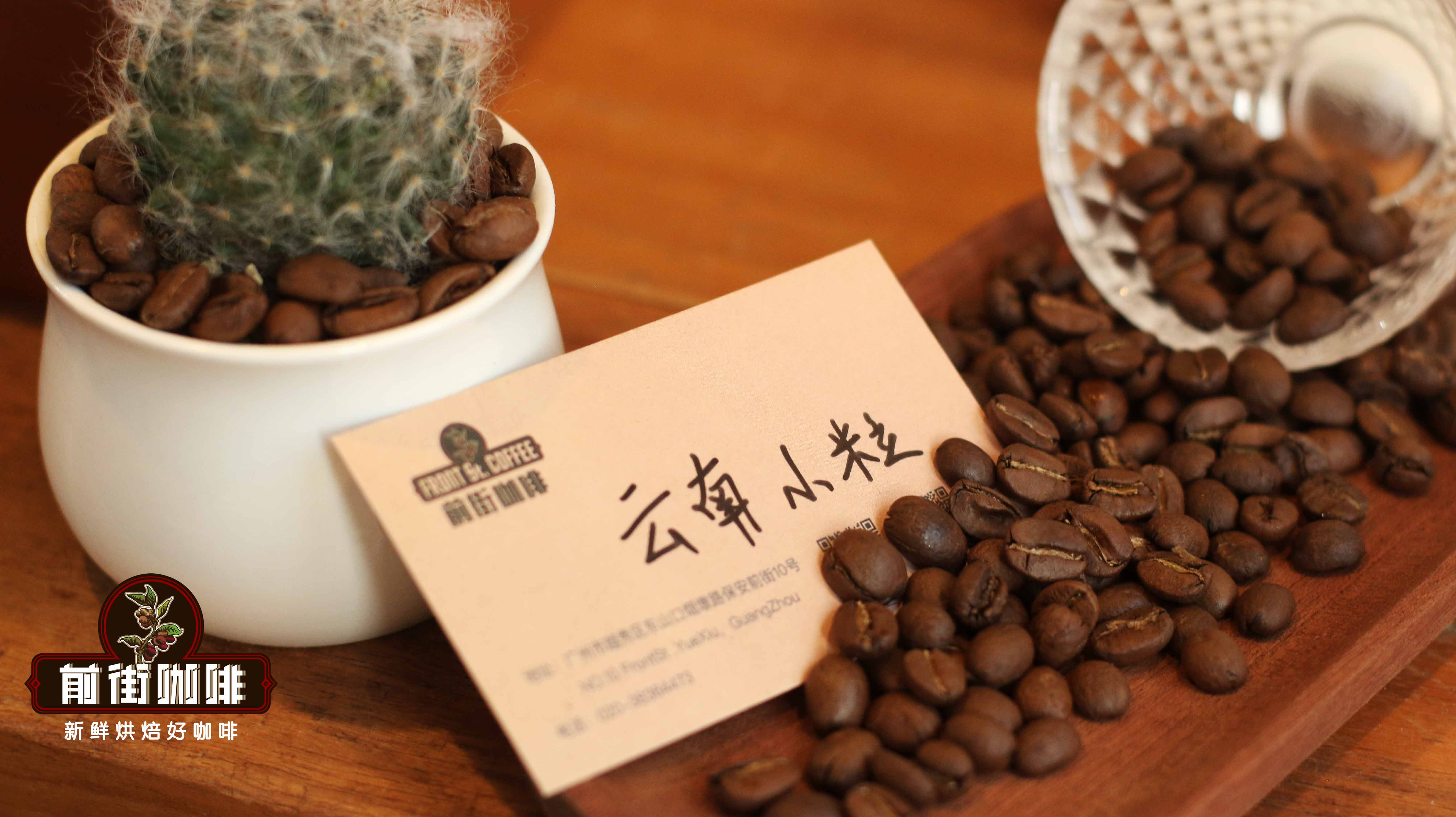 云南咖啡品牌销量排行榜 云南咖啡豆三大名咖啡品牌有哪些