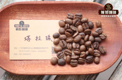 哥斯达黎加咖啡豆品种的分级 哥斯达黎加咖啡豆产地简介