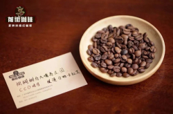 巴拿马咖啡的「CCD」项目是指什么？