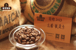 国内咖啡豆品牌排行 中国云南性价比最高铁皮卡品种小粒咖啡
