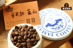 牙买加蓝山的精品咖啡豆的历史由来 蓝山咖啡如何产生的？ 