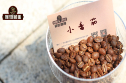 肯尼亚咖啡风味口感小番茄酸质特点 肯尼亚精品咖啡豆产地品种介绍