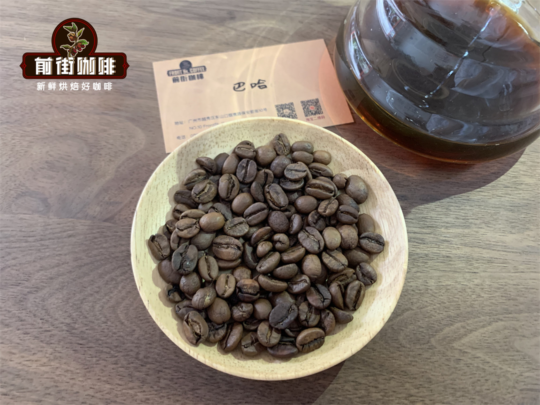 How to select coffee beans novice coffee beans introduce and recommend coffee flavor characteristics in different countries