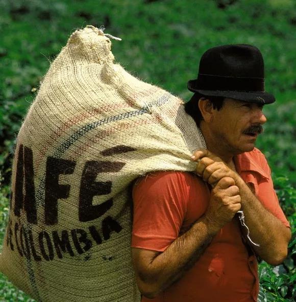 咖啡农