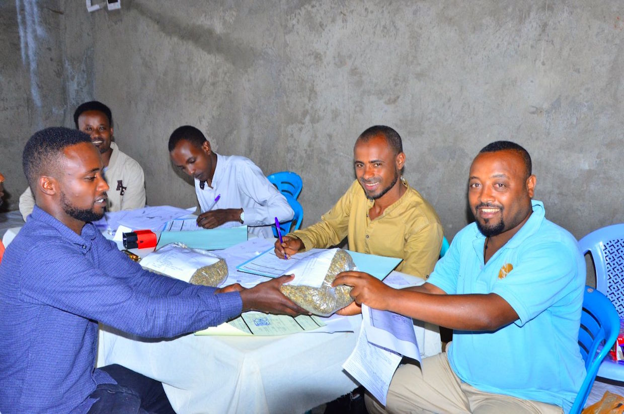 Farmers-submitting-samples-in-Hawassa