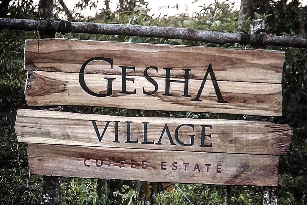 gesha-sign