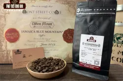精品蓝山咖啡豆基础常识简介品种等级特点 蓝山咖啡适合什么人喝