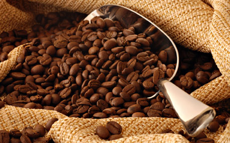 如何选择咖啡豆