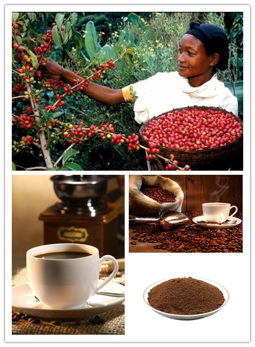 世界上最著名的8大咖啡肯尼亚AA咖啡—均衡可口