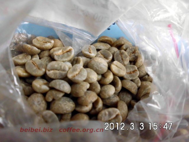 咖啡豆图片 尼泊尔Baglung巴隆 巴格隆 喜马拉雅 