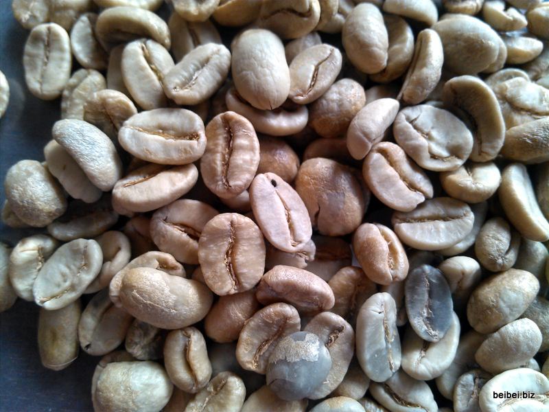 猫屎咖啡 生豆咖啡豆图片 阿拉比卡 