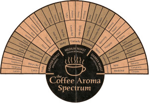 coffee-flavor-descriptors copyed