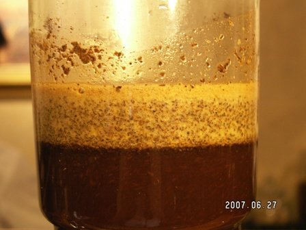 虹吸壶煮咖啡：一杯两瓢粉的搅拌后吸水排气的状态