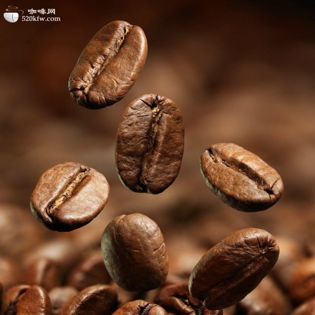详细的咖啡种类