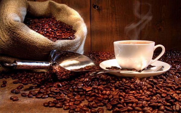 从咖啡树到咖啡