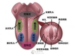 咖啡真的苦吗？