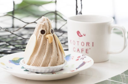 日式“小鸟”主题咖啡厅走红视听双重享受（图）