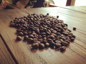 埃塞俄比亚耶加雪菲咖啡豆