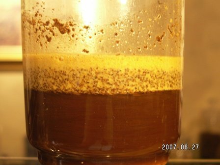 虹吸壶煮咖啡：两杯4瓢粉搅拌后吸水排气的状态