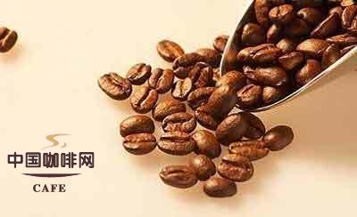 生咖啡豆的主要化学成份