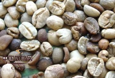 介绍几种咖啡瑕疵豆