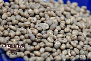 各主要产地Arabica咖啡豆的味道基本特性