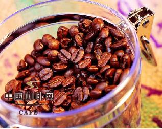 什么样的咖啡豆才是最好的？