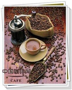 最传统的阿拉伯咖啡品种——阿拉比卡种