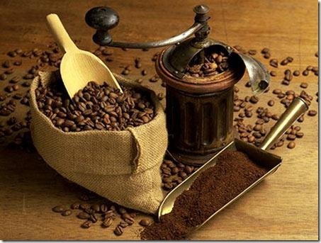 咖啡的起源向您讲述咖啡是怎么被发现的