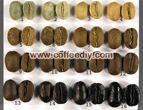 咖啡豆为什么会出油