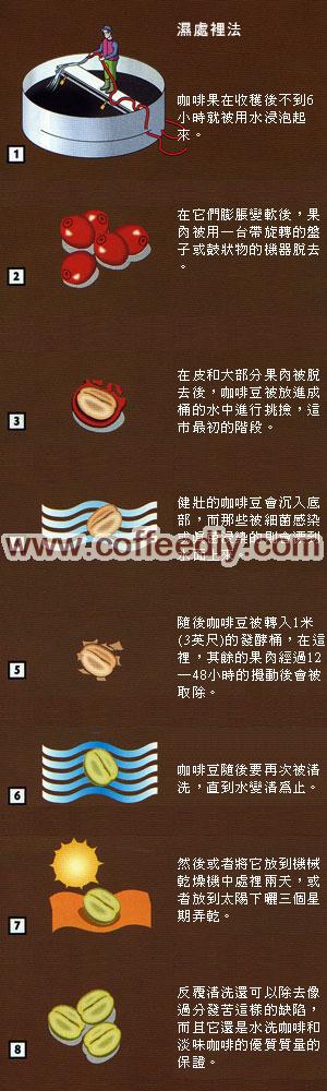 咖啡生豆的加工方法及风味优缺点
