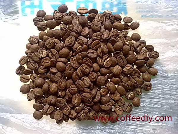 罗巴斯达种咖啡豆 - 咖啡豆的主要种类