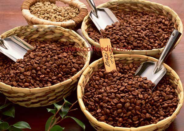 单品咖啡豆的种类和特点