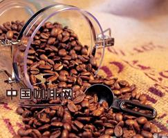辨别咖啡豆的鲜度