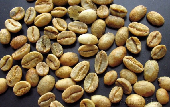 埃塞俄比亚（衣索比亚）摩卡咖啡生豆 Ethiopia mocha green bean
