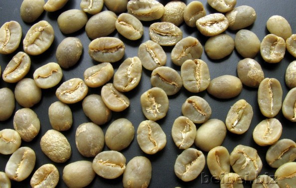  云南BM种（蓝山种）咖啡生豆