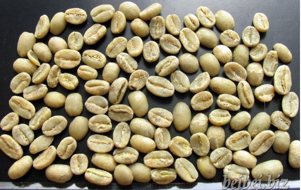  埃塞尔比亚 耶加雪啡 Ethiopia Washed Yirgacheffe 咖啡生豆