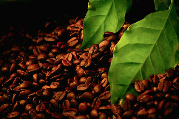 Origin-coffee-beans-1