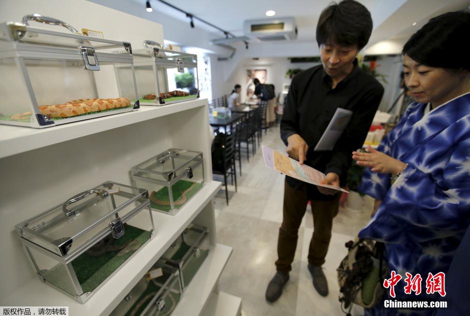 日本重口味咖啡屋 顾客边喝饮料边赏蛇