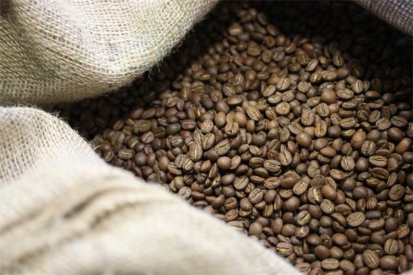 PASCUCCI 咖啡豆