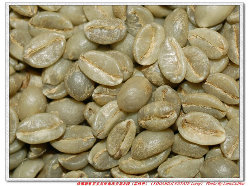 法国新喀里多尼亚岛库安基农园雷洛伊咖啡豆