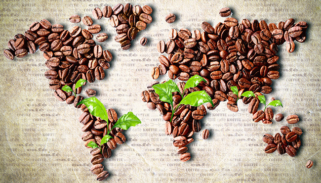 咖啡的产地及风味特点