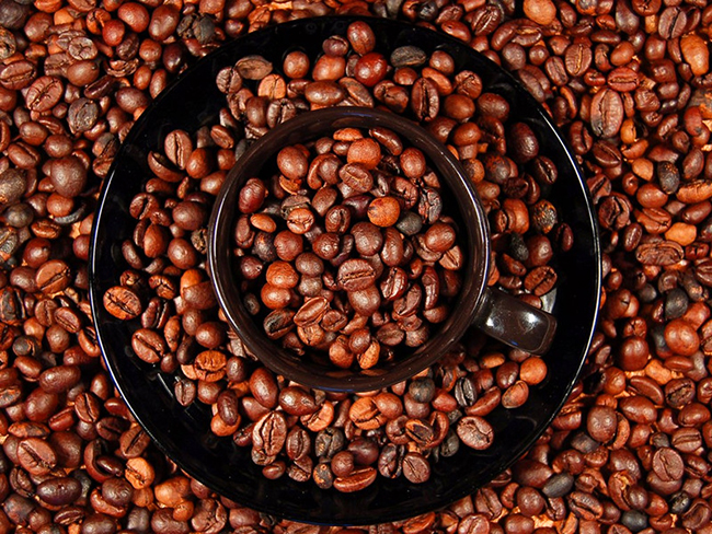 好咖啡从豆开始