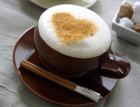 咖啡烘焙知识与方法(7) 打奶器的操作方法